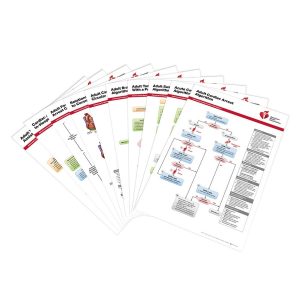 2020 AHA ACLS Posters Set