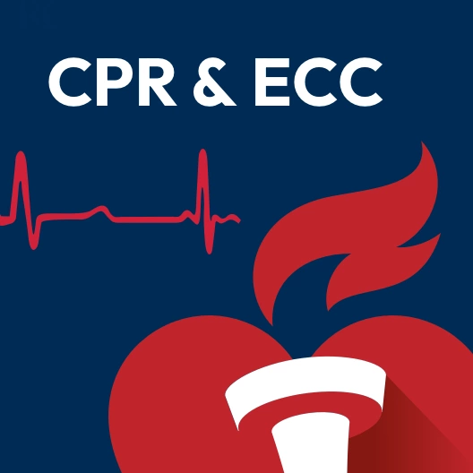 CPR & ECC