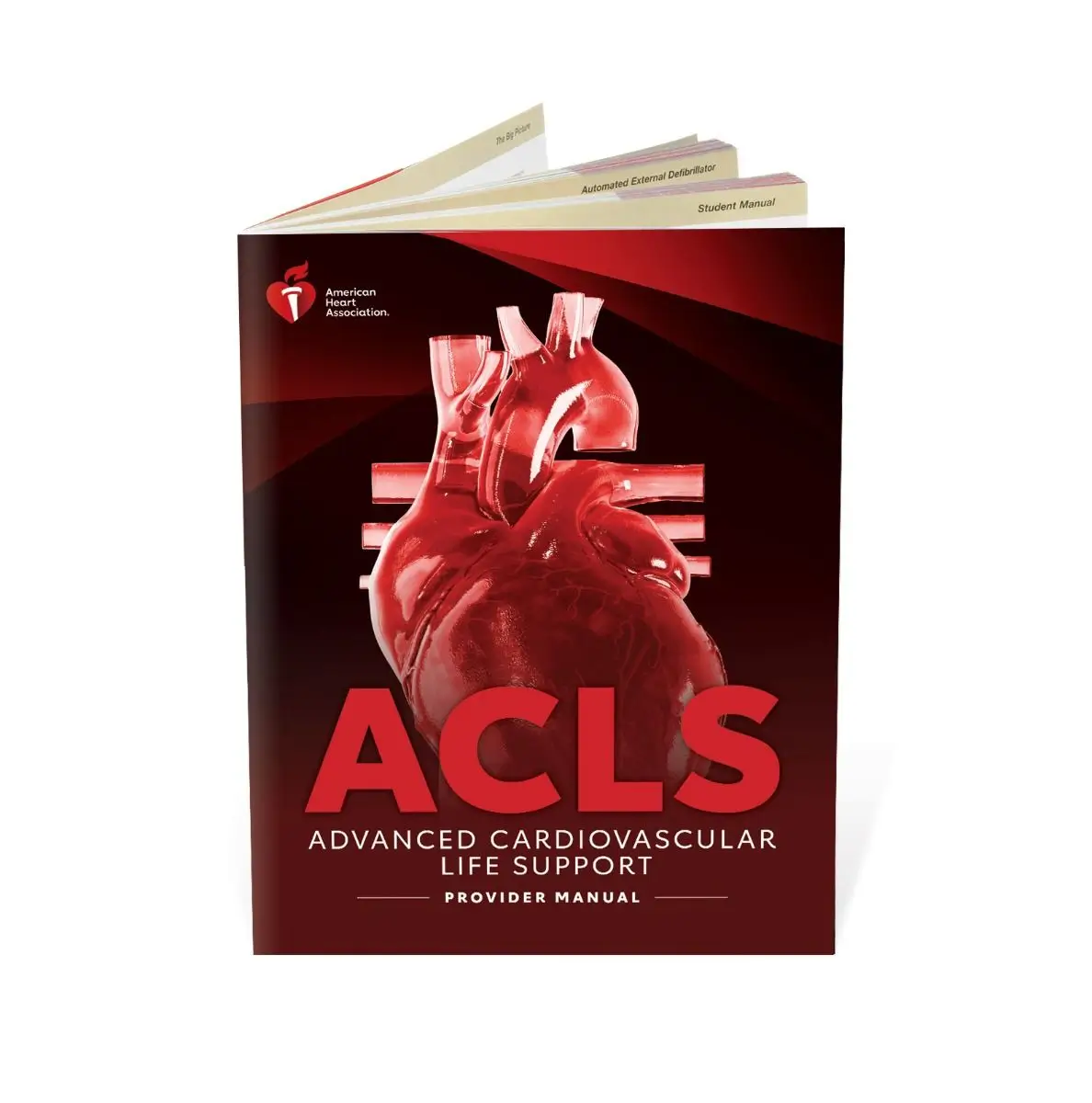 2025 ACLS Provider Manual