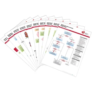2025 ACLS Posters (Set of 10)