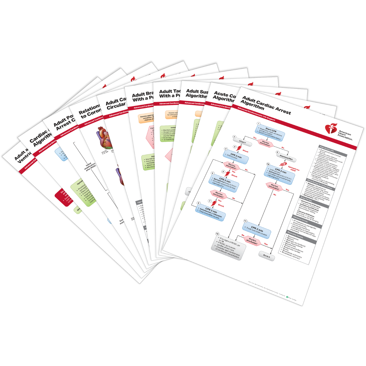 ACLS Posters (Set of 10)