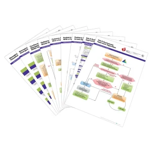 2025 PALS Posters (Set of 9)