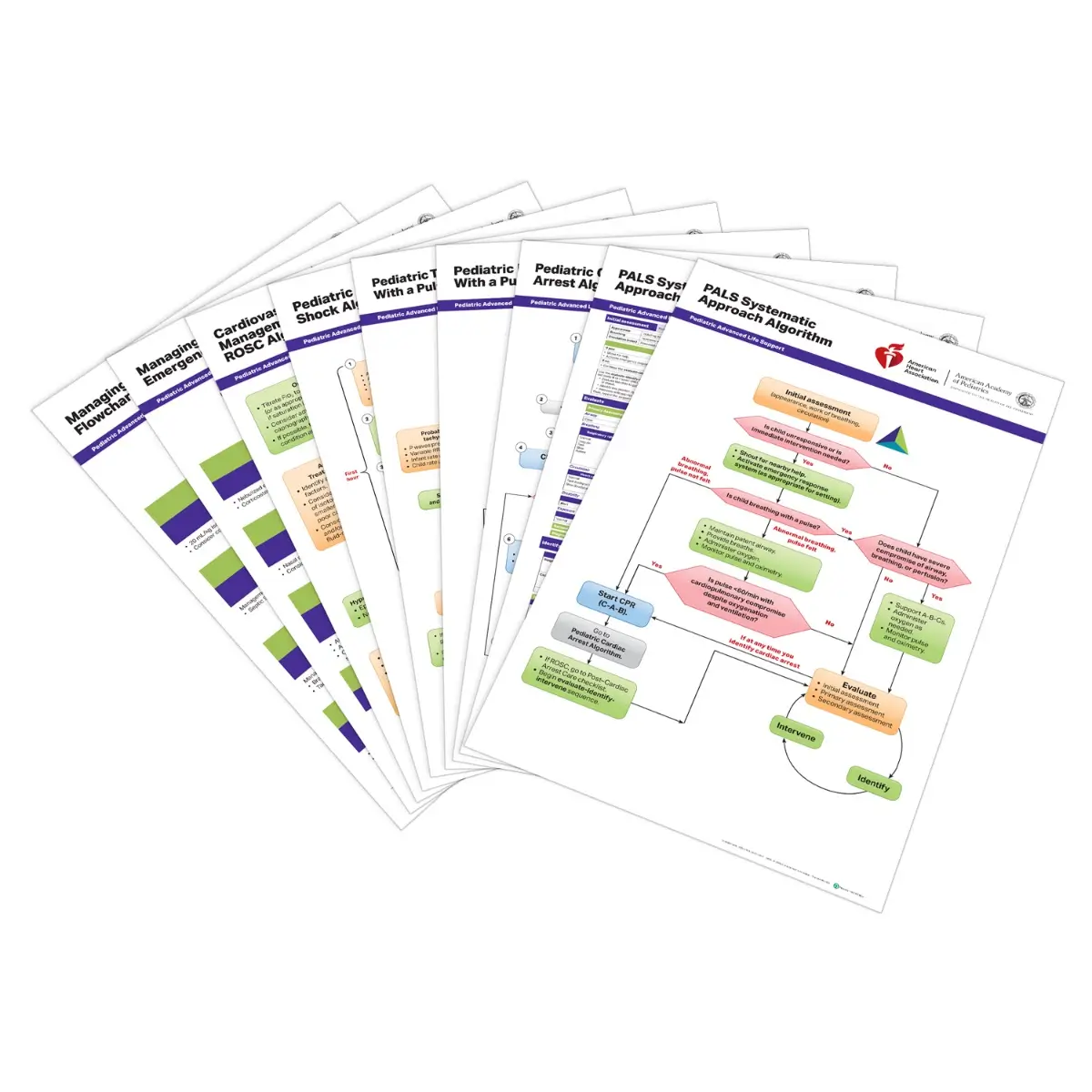 2025 PALS Posters (Set of 9)