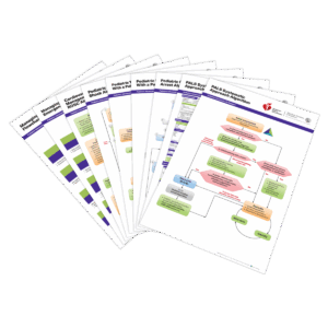 PALS Posters (Set of 9)