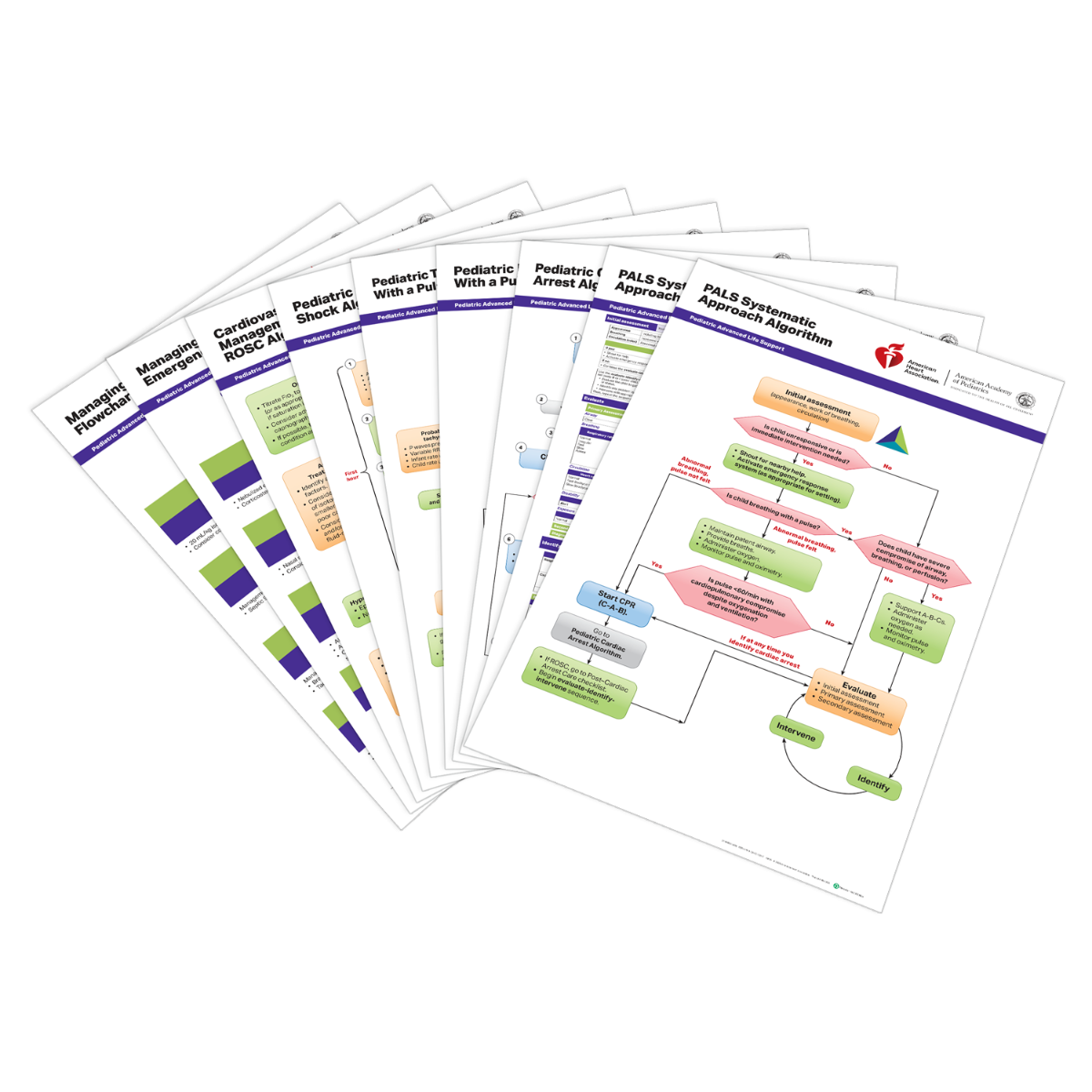 PALS Posters (Set of 9)