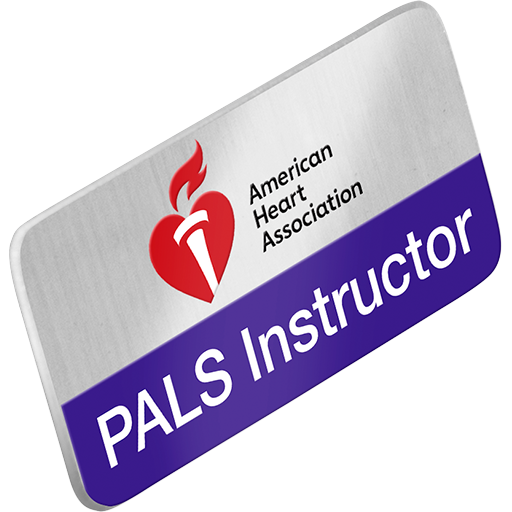 PALS Instructor Lapel Pin