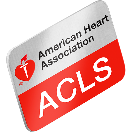 ACLS Lapel Pin (10-pack)