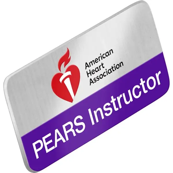 PEARS Instructor Lapel Pin - Image 2